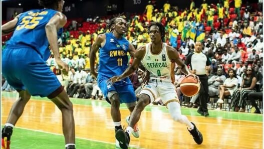 WhatsApp Image 2024 11 24 at 11.54.01