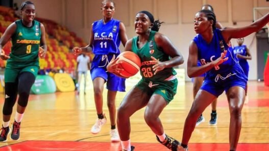 508737072 1237532391717279 7960734980946814319 n