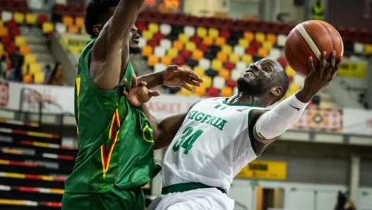 l7pzv6nrgjeewkpsebjl