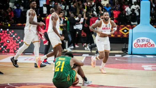 li3qxz5jpdigsh1drhiq