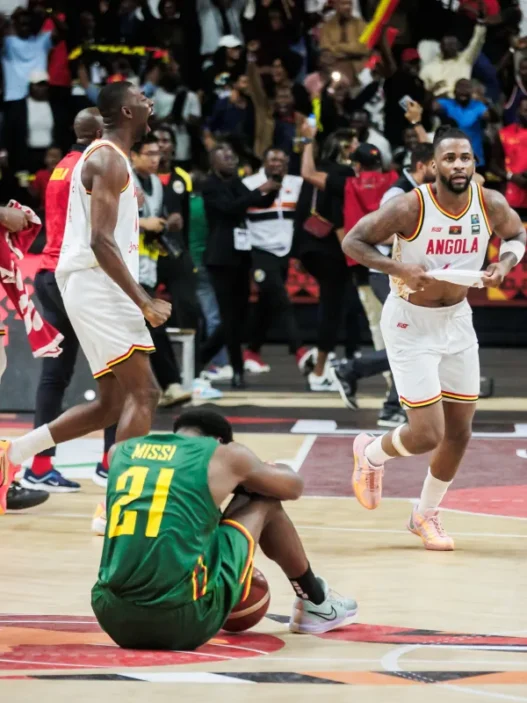 li3qxz5jpdigsh1drhiq