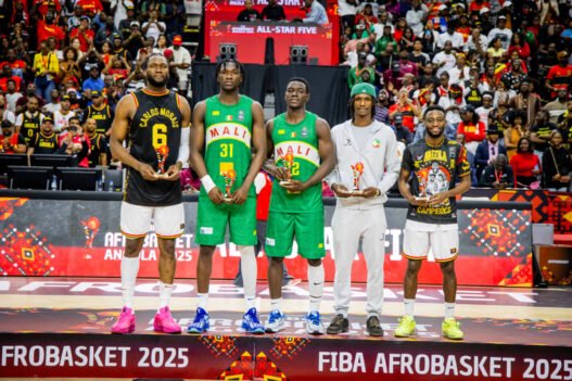 nn3q6tltnn8btzuqa1ts