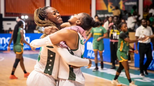 vnpjqddh1fje3cpltqjp